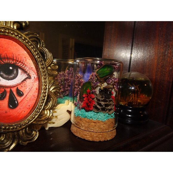 June Bug Bee Wasp Nest & Luna Moth Wing Oddity Dome curiosity taxidermy goth - Picture 6 of 13